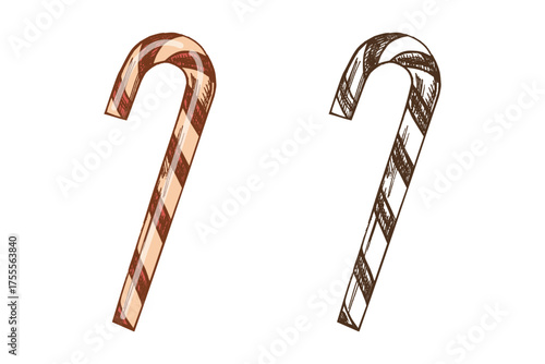 Hand drawn vintage sketch of christmas candy cane with red and white stripes, color and monochrome festive illustration