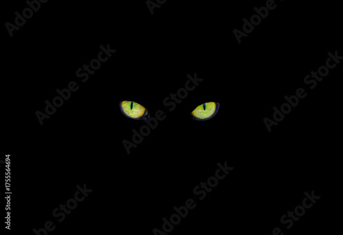 Yellow cat eyes glow in the dark on a black background.