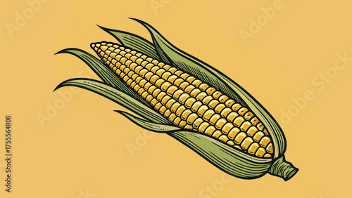 Fresh corn on the cob with green husks against a yellow background in a simple illustration