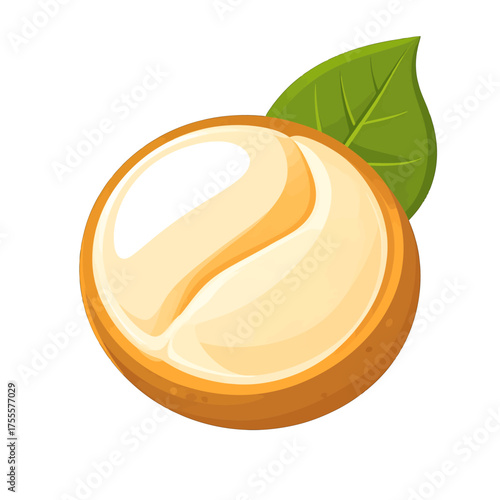 Round Fruit Digital Illustration with Brown Skin Creamy Flesh and Green Leaf on White Background Isolated Detailed Minimalist Style