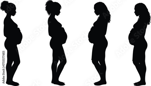 Silhouette illustration of pregnant women standing in profile, maternity and motherhood concept, modern flat vector design, black and white minimal illustration, elegant artwork.