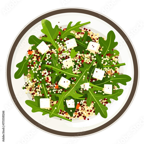 Colorful Quinoa Salad with Arugula and Feta Cheese on White Plate with Natural Lighting Top View Illustration
