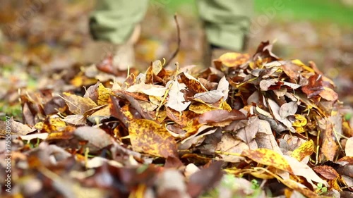 Raking fallen leaves, autumn gardening, caring for the environment