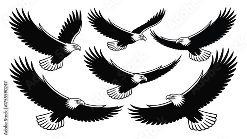 Majestic eagles soar gracefully across a clean white background, symbolizing freedom and power.