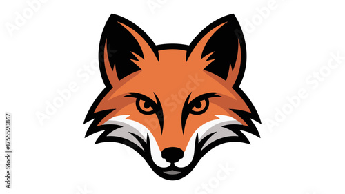 Alert fox head illustration with sharp eyes and orange fur