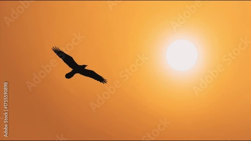 Silhouette of Bird Flying Across Sunset Sky