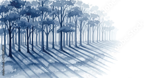 A serene watercolor painting of a dense forest with tall, slender trees casting long, dramatic shadows in a misty, ethereal atmosphere.