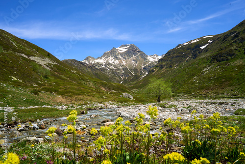 Alpine panorama whit Spadolazzo, Madesimo, Lombardy, Italy