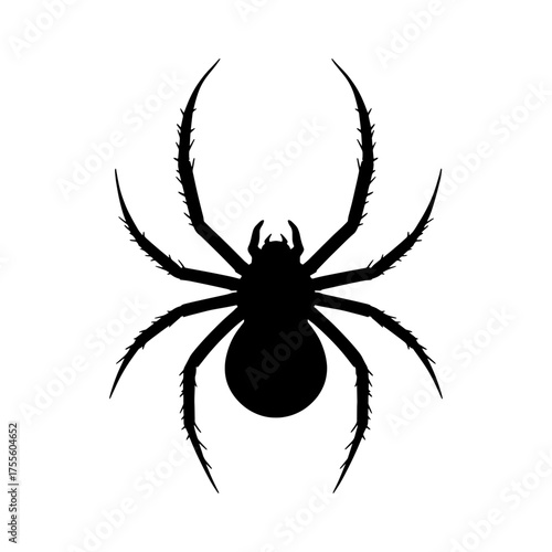 Spider Illustration – Perfect for Halloween, Horror, and Gothic Art Themes