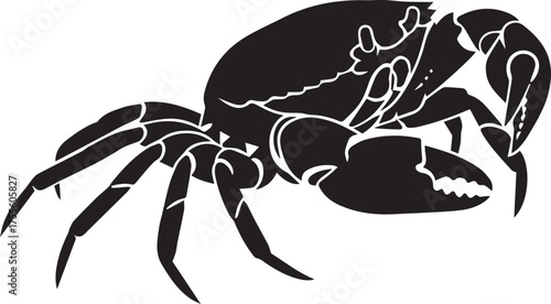 Detailed silhouette of a crab with prominent claws and legs against a