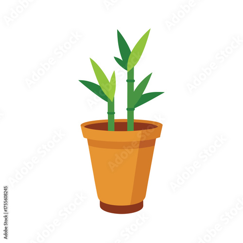 Potted Lucky Bamboo Plant with Orange Pot potted plant green