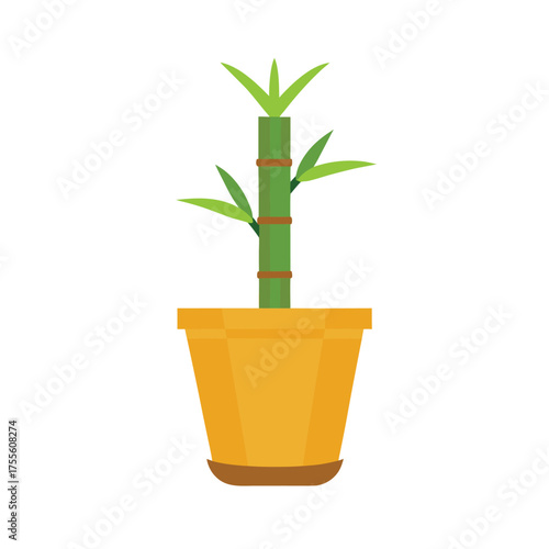 Single Stem Lucky Bamboo in Yellow Pot plant potted plant