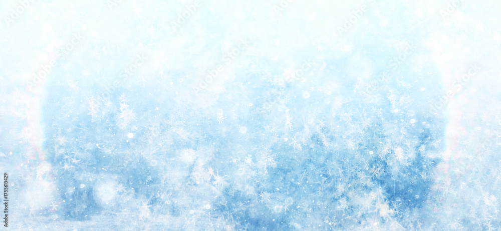 Obraz premium Winter park, abstract background, snow, blurred trees, festive backdrop