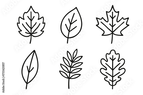 Collection of simple outline leaf illustrations featuring various shapes