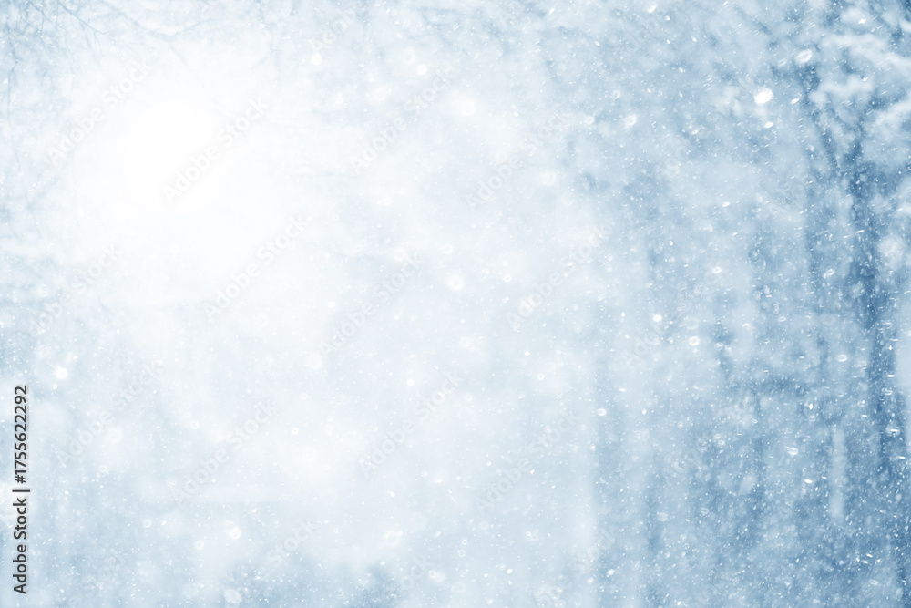 Obraz premium Snowy winter background in the park, blurred abstract seasonal backdrop, snowflake texture, light landscape background