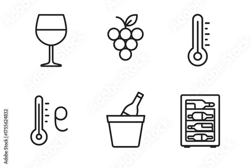 Wine essentials: glass, grapes, thermometers, bottle in ice bucket, wine storage