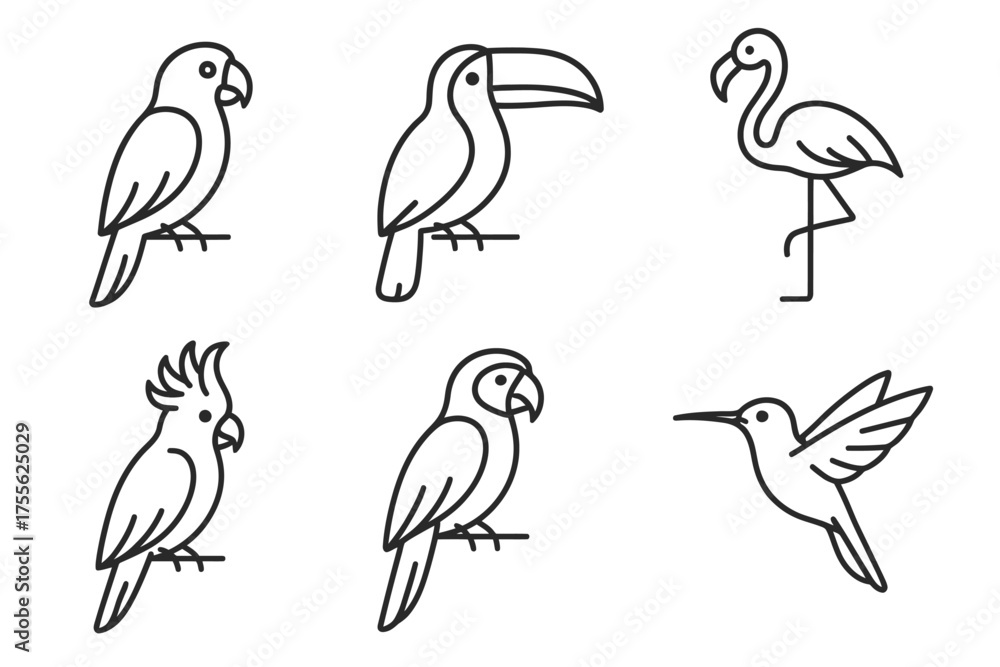 Naklejka premium Outline drawings of various exotic birds including parrot, toucan, flamingo, cockatoo, hummingbird