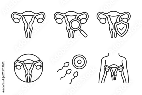 Uterus health icons: examination, protection, fertility, and anatomy illustrations