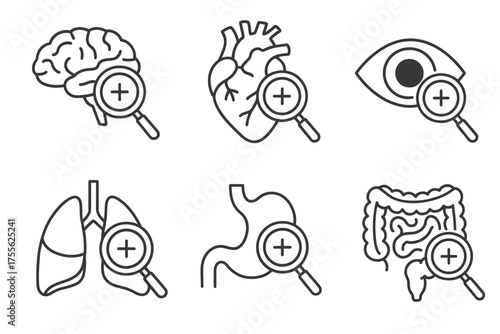 Magnifying glass on brain, heart, eye, lungs, stomach, intestines – medical icons
