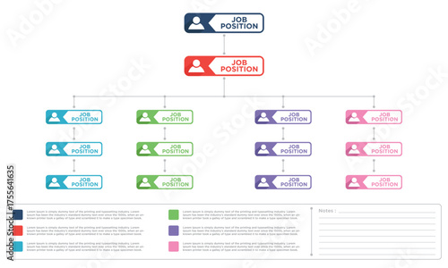 Vector illustration, organization chart showing of job positions in a company.