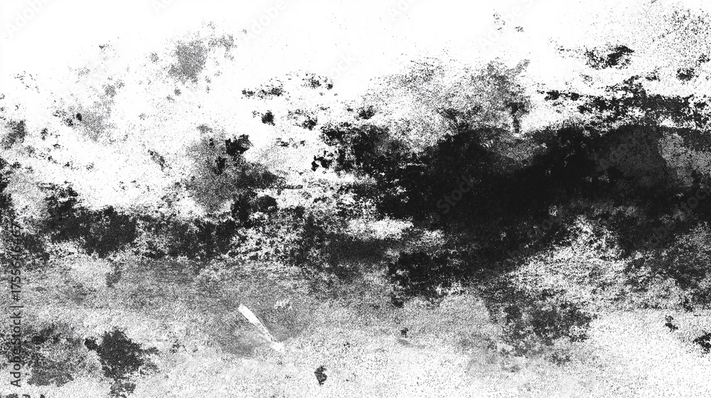 Obraz premium Black and white grunge background. Texture overlay image.