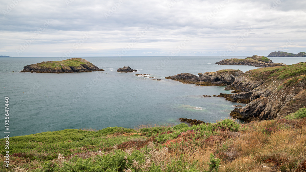 Naklejka premium The spectacular Welsh coastline, from the coastal path, near St Davids, on the south west coast