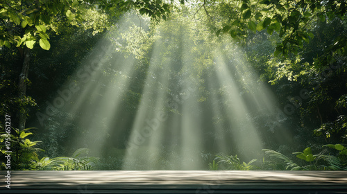Wallpaper Mural Bright light beams shining through lush forest canopy create serene atmosphere Torontodigital.ca