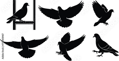 Silhouette pigeons flying, perched, landing, walking, bird flock illustration, urban wildlife vector, black pigeon shapes, animal movement design, isolated