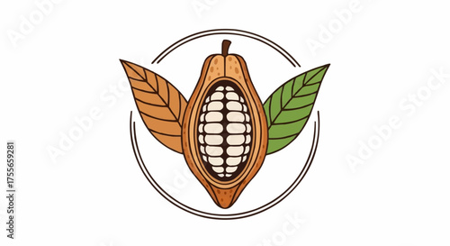 Open cocoa pod with leaves around