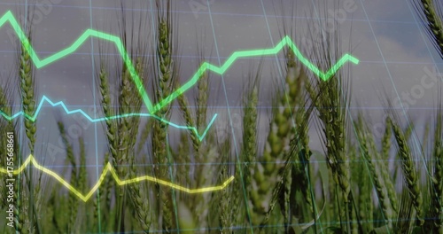 Showcasing lush wheat stalks dominating field, with translucent grid overlay and neon line graphs