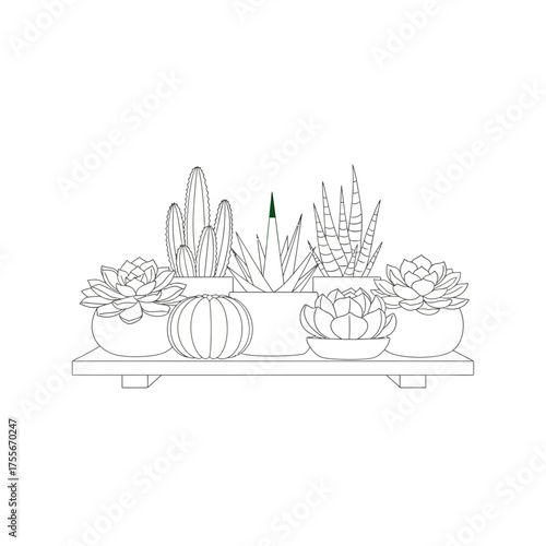 Elegant line art illustration of various succulent and cactus plants on a shelf, isolated on white background, perfect for adding a touch of nature to any space