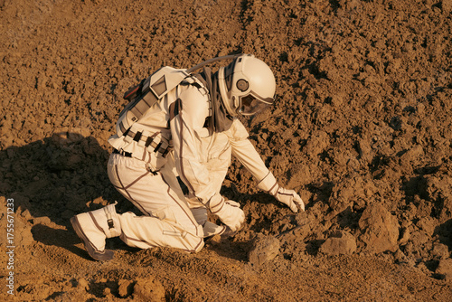 Astronaut in spacesuit squatting on the red planet while analyzing soil samples during exploration.