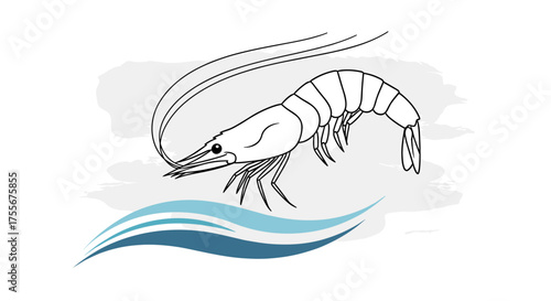 Illustration of a shrimp swimming in blue ocean waves for seafood businesses