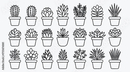 Black and white line art of potted plants on white background