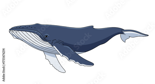 The magnificent humpback whale is a majestic marine mammal known for its complex songs and acrobatic breaches.