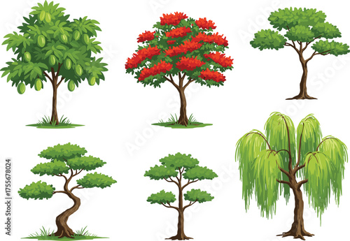 Cartoon illustration of different trees, tropical tree, flowering tree, bonsai style, willow tree, green foliage, botanical collection, landscape design, nature vegetation, ecology
