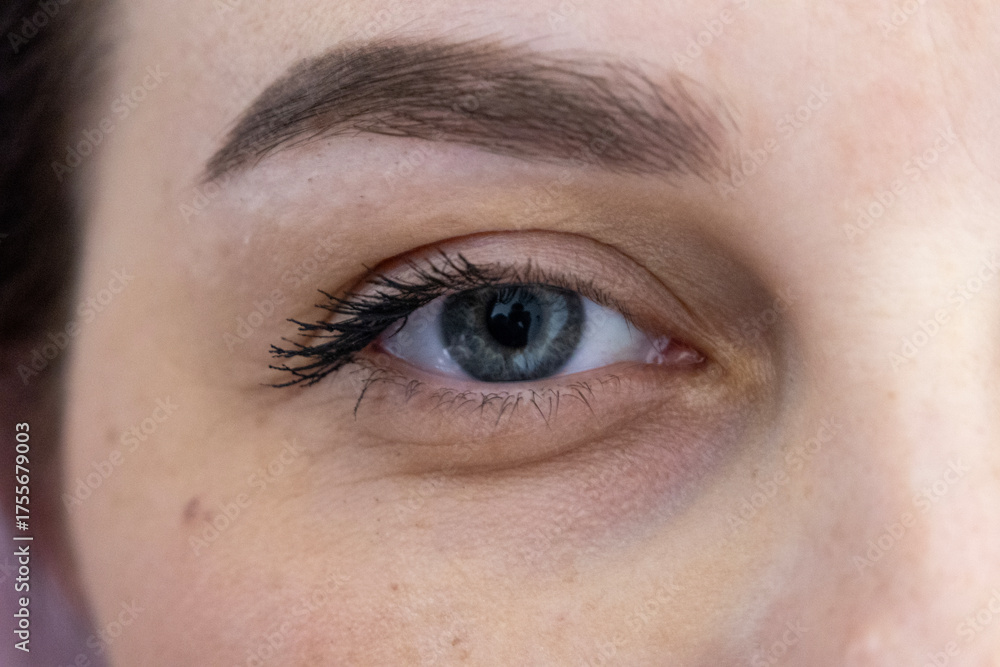 Fototapeta premium Close-up portrait detail focusing on an adult eye, eyebrow and skin texture in natural light, suited for beauty, skincare, medical, portrait and lifestyle commercial photography.