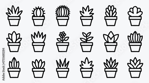 Collection of Minimalist Houseplants in Pots for Modern Interior Decor