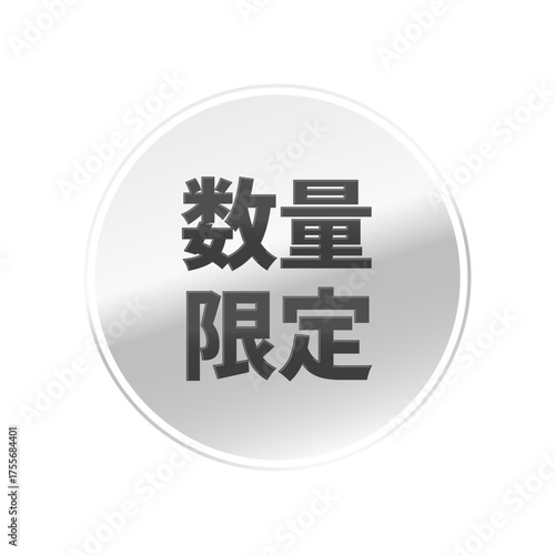 光沢のあるアイコン_数量限定_線囲み丸型_SILVER