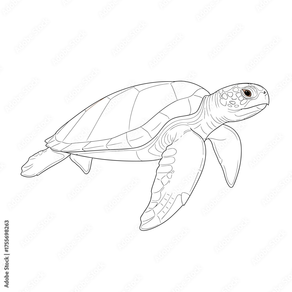 Fototapeta premium A sea turtle isolated on white background, gracefully swimming, showcasing its shell and flippers, embodying marine life, and symbolizing longevity and resilience