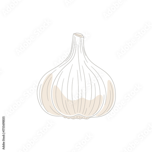 Illustration of a garlic with intricate details, showcasing its delicate structure and vibrant colors isolated on white background, perfect for food and cookingthemed designs