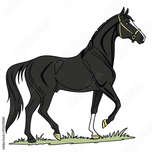 A majestic black horse with a golden bridle stands gracefully in green grass on a white background  vector illustration