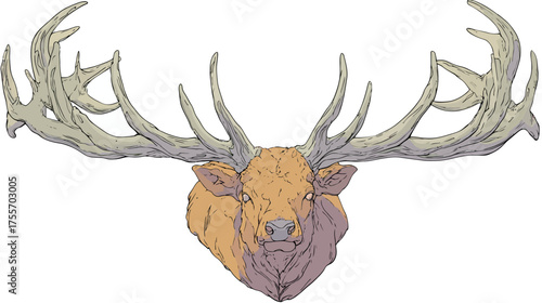 Frontal stylized deer head with large antlers against white background