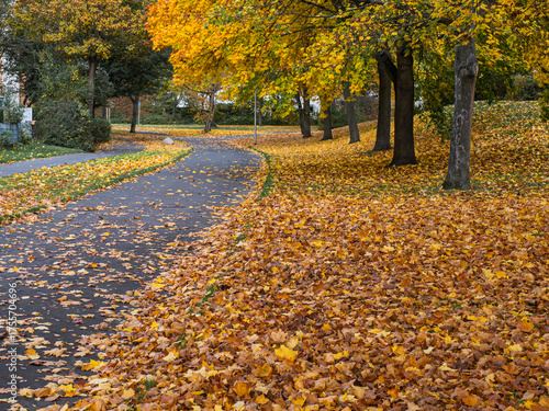 Peaceful autumn park with colorful trees and fallen leaves covering a quiet walking path