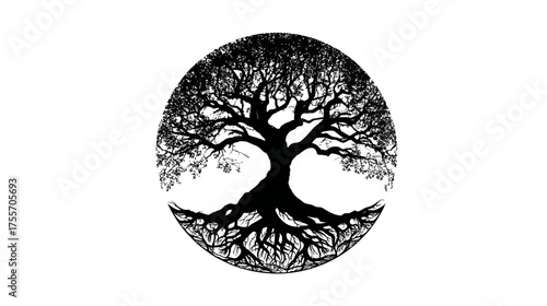 Silhouetted tree with roots and branches inside a circle