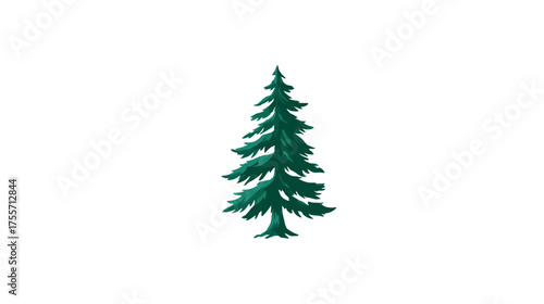 Stylized, dark green pine tree with a conical shape and layered branches on white