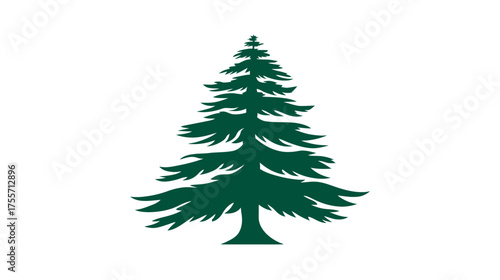 Evergreen silhouette