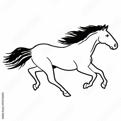 Bay stallion run gallop isolated on white
