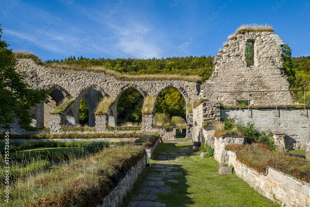 Fototapeta premium Ruins of Alvastra Abbey during autumn. This Cistercian monastery was founded in 1143 at Alvastra in county Östergötland, Sweden