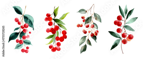 Watercolor set of branches with berries. Vintage branch with green leaves and red berries. berries cranberries, lingonberries and others. Hand drawn illustration of natural elements.